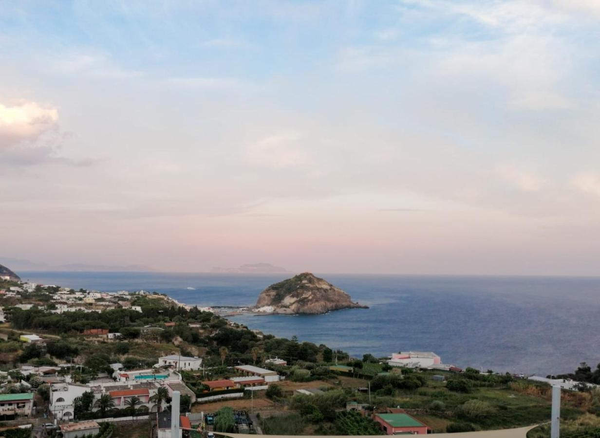 Villa Eleonora, un angolo di Paradiso ad Ischia Sant'Angelo  Esterno foto