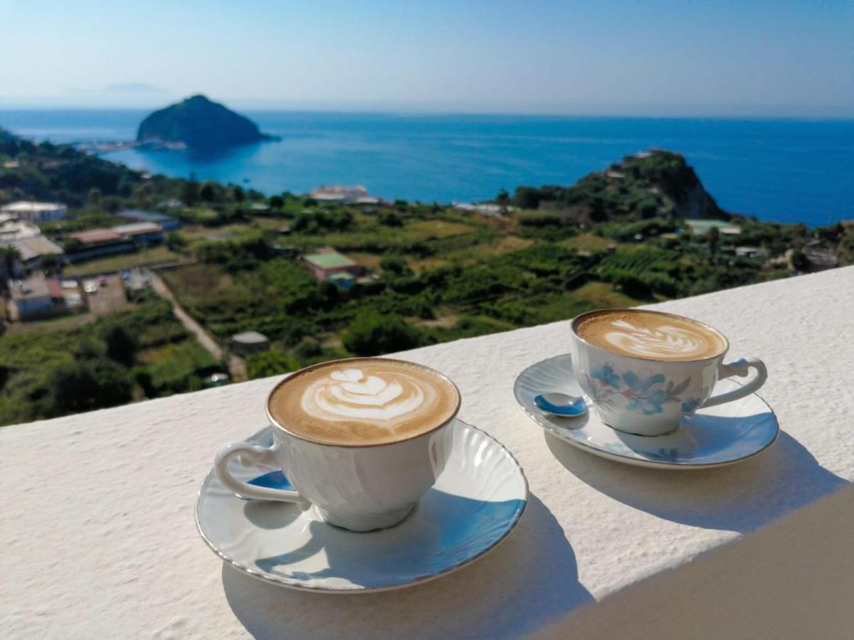 Villa Eleonora, un angolo di Paradiso ad Ischia Sant'Angelo  Esterno foto