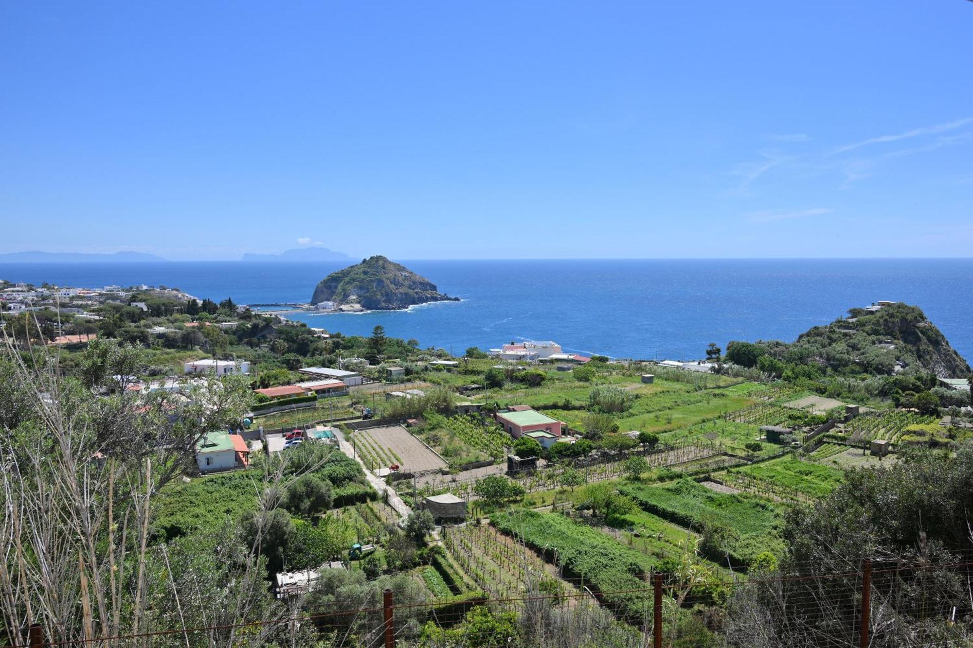 Villa Eleonora, un angolo di Paradiso ad Ischia Sant'Angelo  Esterno foto