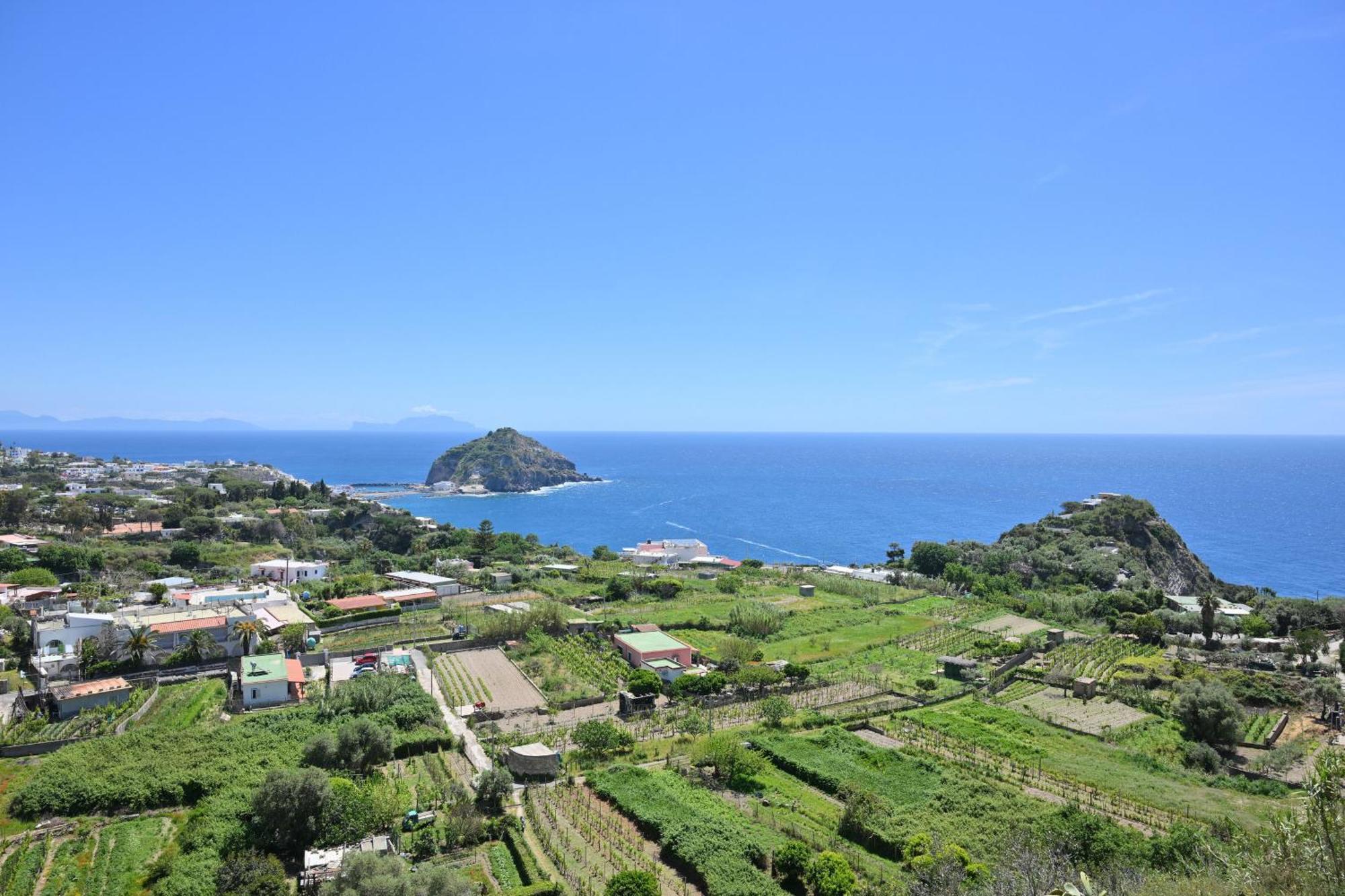 Villa Eleonora, un angolo di Paradiso ad Ischia Sant'Angelo  Esterno foto