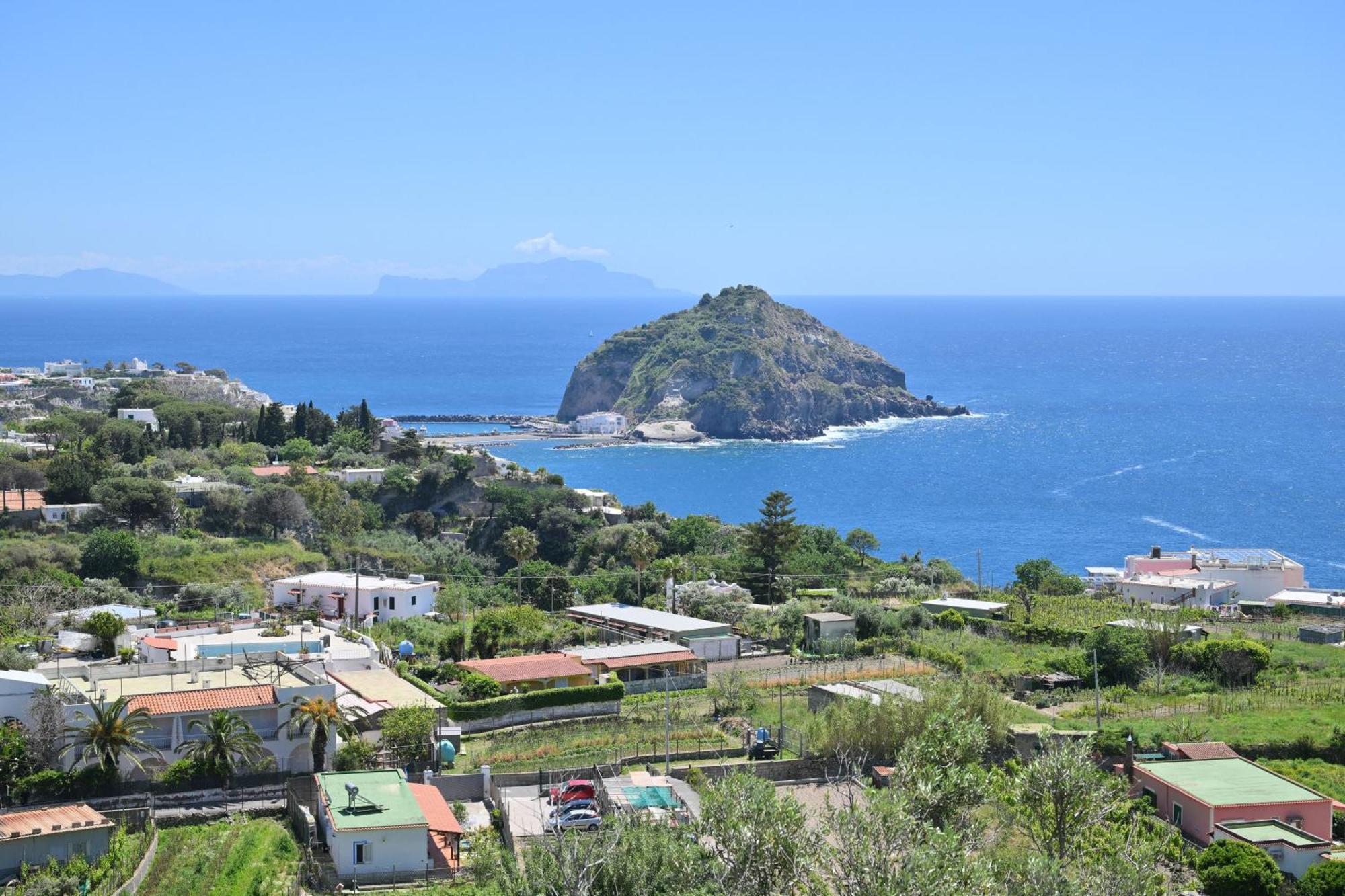 Villa Eleonora, un angolo di Paradiso ad Ischia Sant'Angelo  Esterno foto