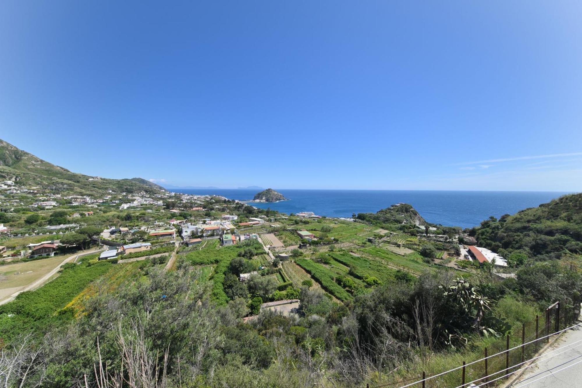 Villa Eleonora, un angolo di Paradiso ad Ischia Sant'Angelo  Esterno foto