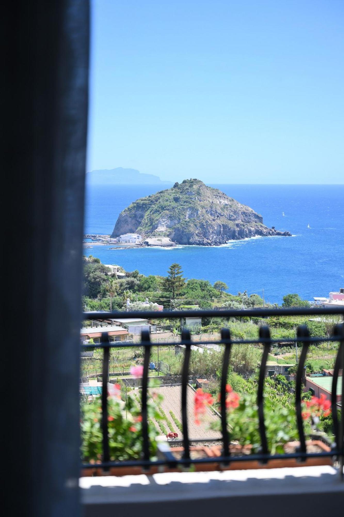 Villa Eleonora, un angolo di Paradiso ad Ischia Sant'Angelo  Esterno foto