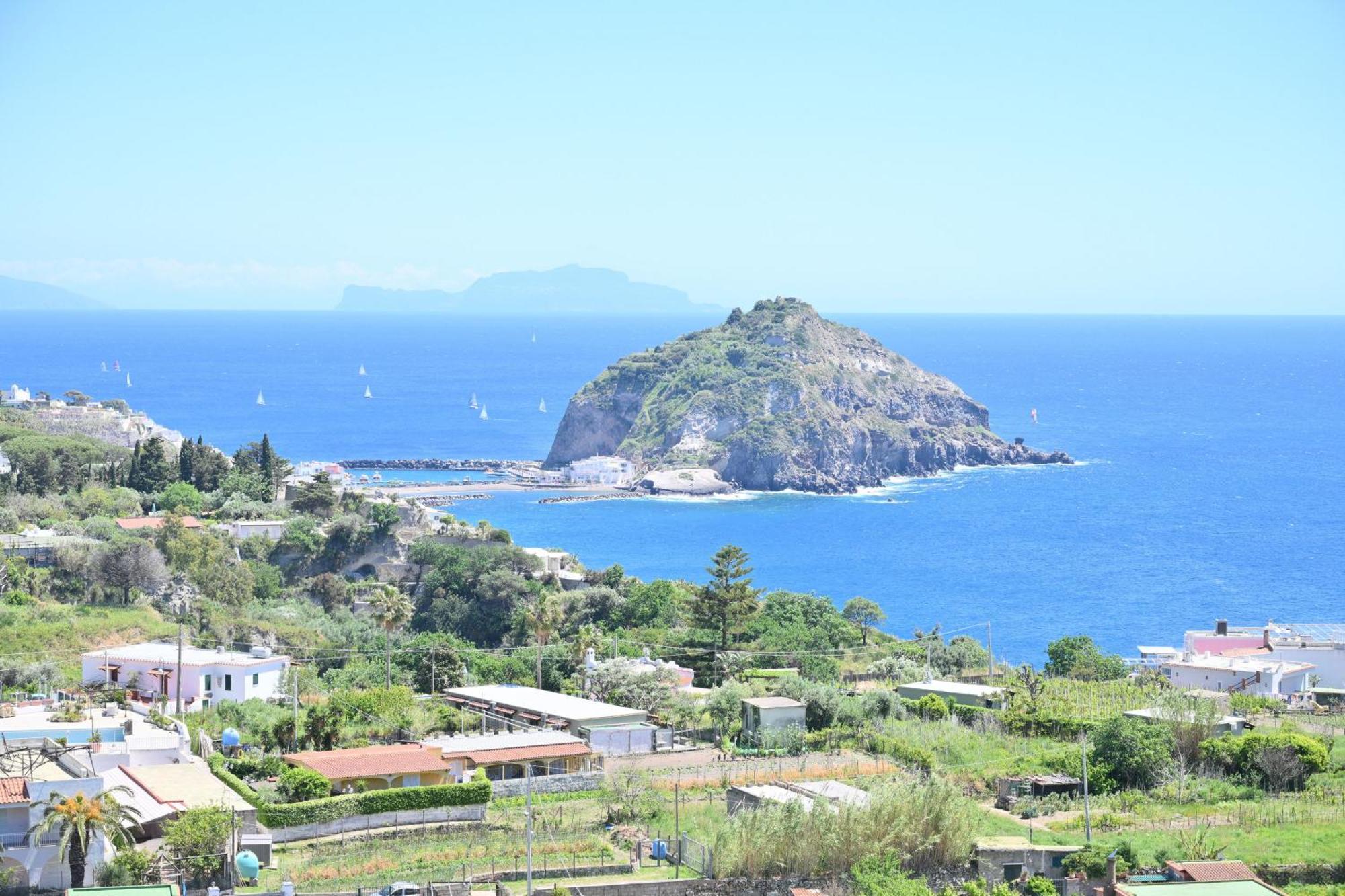 Villa Eleonora, un angolo di Paradiso ad Ischia Sant'Angelo  Camera foto