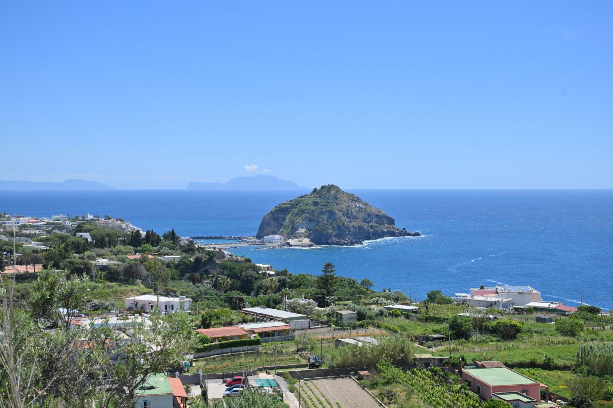 Villa Eleonora, un angolo di Paradiso ad Ischia Sant'Angelo  Camera foto